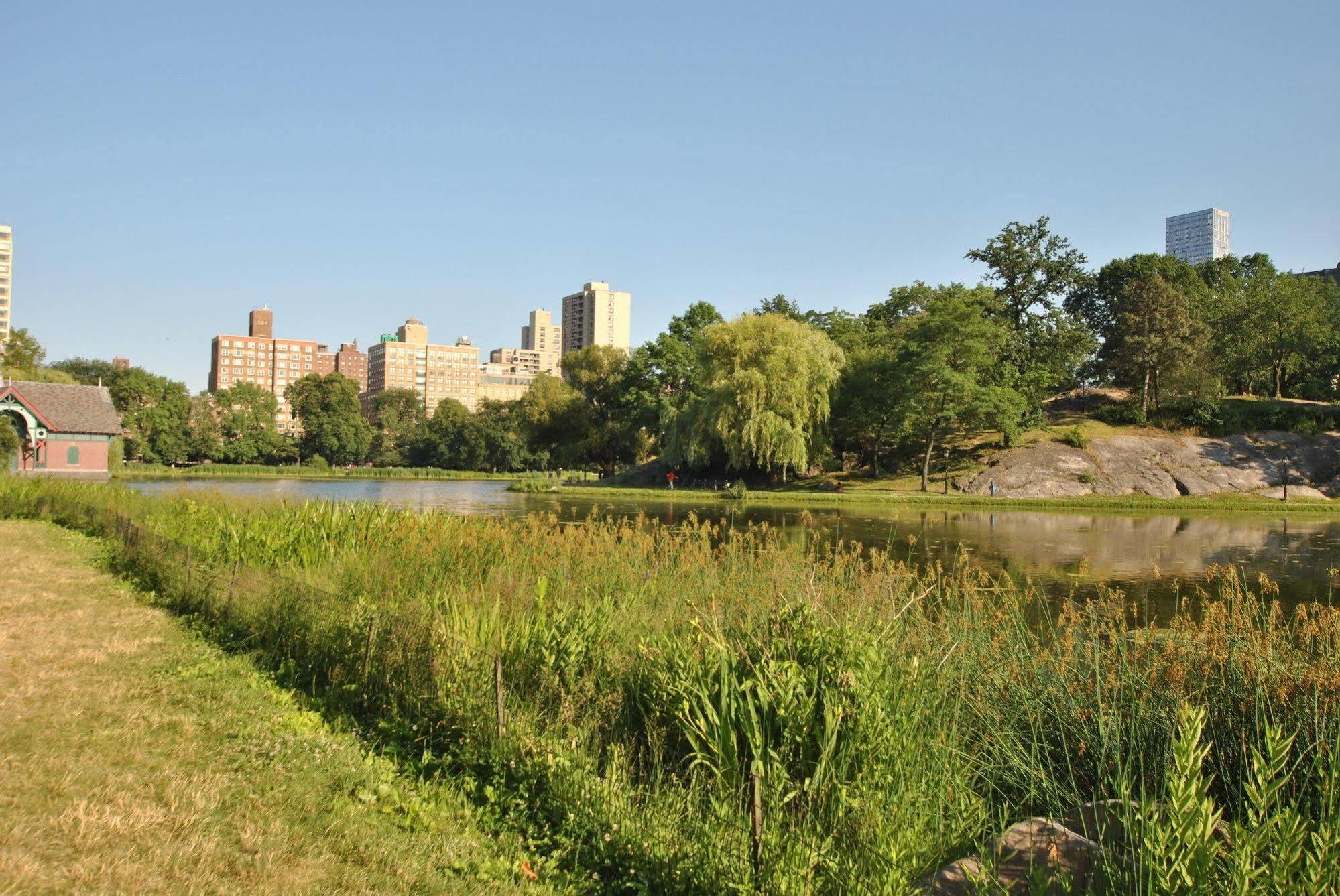 Home Nyc New York Luaran gambar